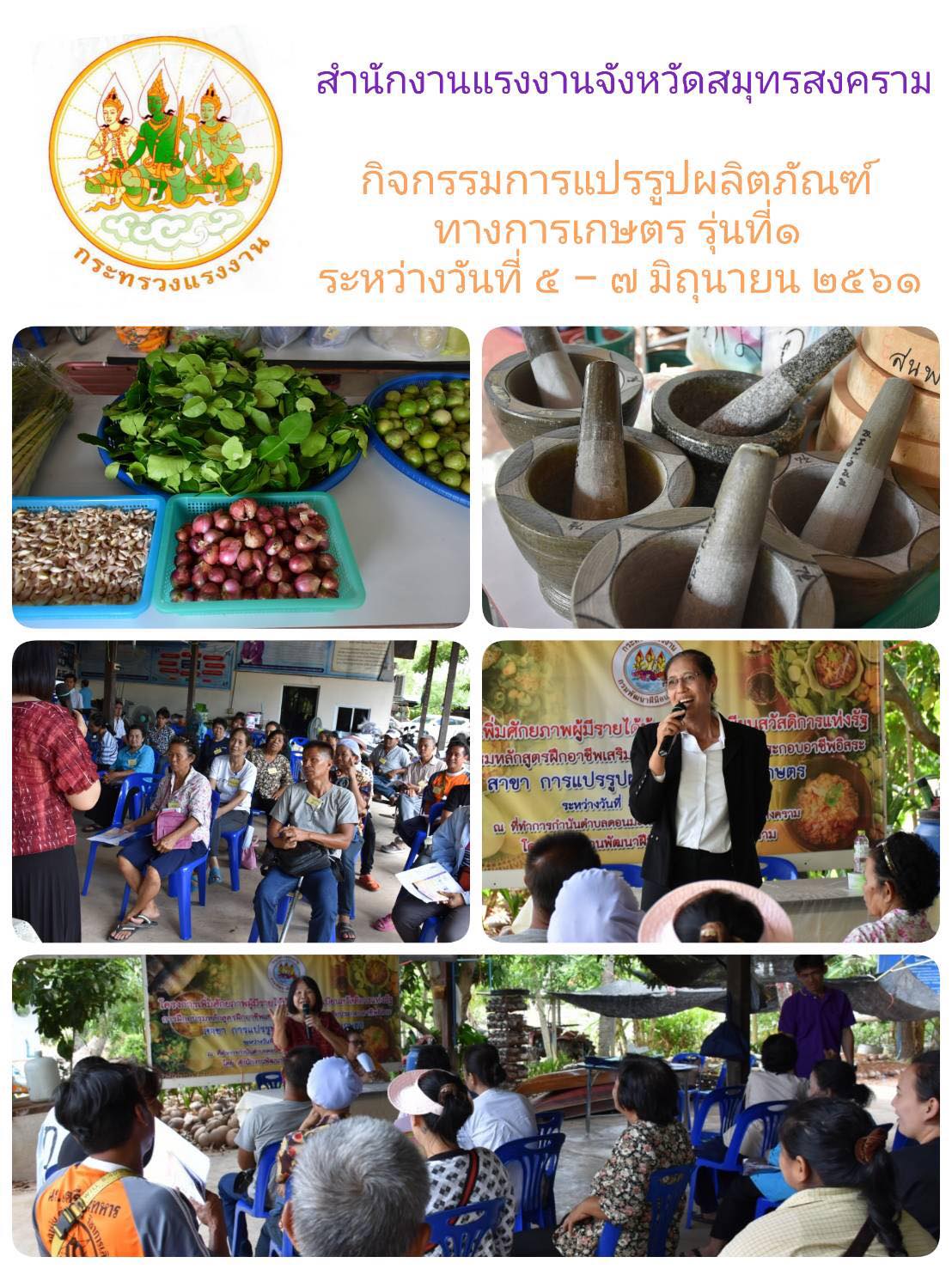 Mol-Thailand